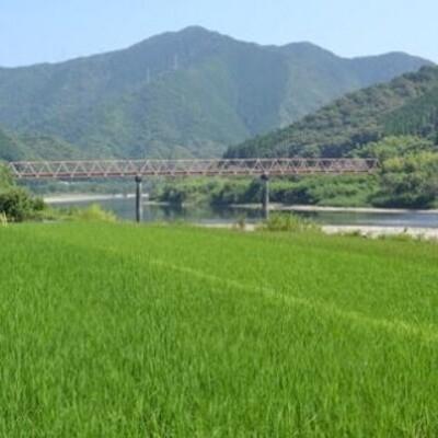 ふるさと納税 四万十市 【令和7年産・6回定期】四万十産 四万十米(コシヒカリ)10(5kg×2袋)×6回 (計60kg |  | 03
