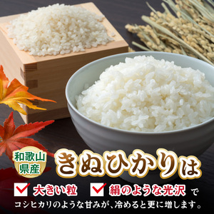 【1295】御坊・日高地方産　粒より米　きぬひかり　5kg
