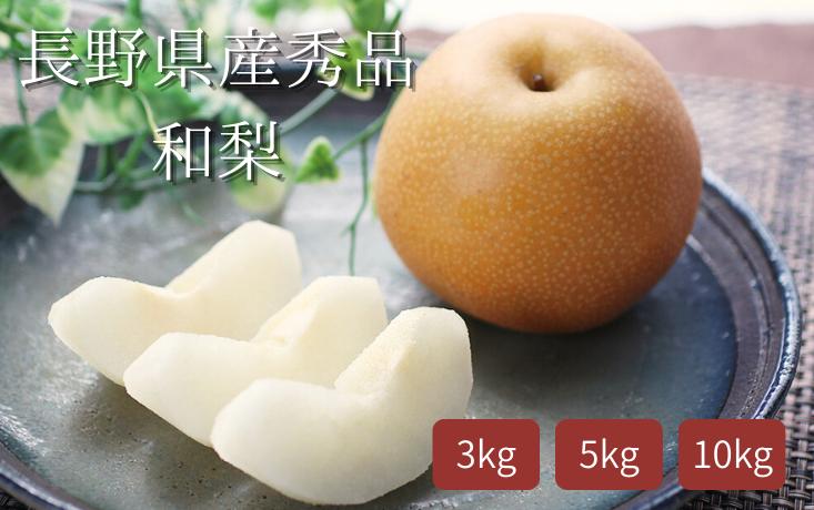 
            【先行予約】梨 幸水か豊水（長野県産秀品） 約3kg ～ 約10kg / 2026年8月下旬～9月中旬頃 配送予定 // 長野県 南信州 梨 なし ナシ 幸水 豊水 贈答 こうすい ほうすい MS01 MS02 MS03
          