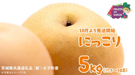 にっこり 梨 5kg （7～10玉）【2025年10月より発送開始】（茨城県共通返礼品 [梨]：大子町産） なし 旬 お取り寄せ フルーツ 甘い ジューシー 和梨 時期