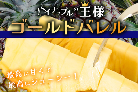 【6月中旬以降発送予定】最高級パイン ゴールドバレル2~3玉セット【 沖縄 石垣 パイナップル パイン ゴールド バレル 高級 セット 】TD-1