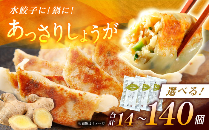 
            【選べるパック数！】餃子屋ヒロの しょうが餃子【餃子屋ヒロ】開成町 餃子 点心 惣菜 冷凍 [BDAS006]
          