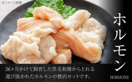 葉山クィーンビーフ味噌味、ネギ塩味 各300g  ／ 肉 牛 ホルモン 焼肉 黒毛 焼き肉【株式会社石井ファーム葉山マルシェ】[ASCD014]