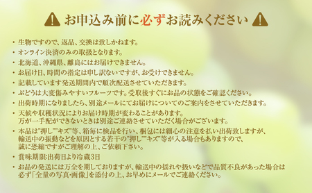 瀬戸ジャイアンツ ぶどう 訳あり 岡山県産 瀬戸ジャイアンツ【4～5房 約2kg】【常温・先行予約】