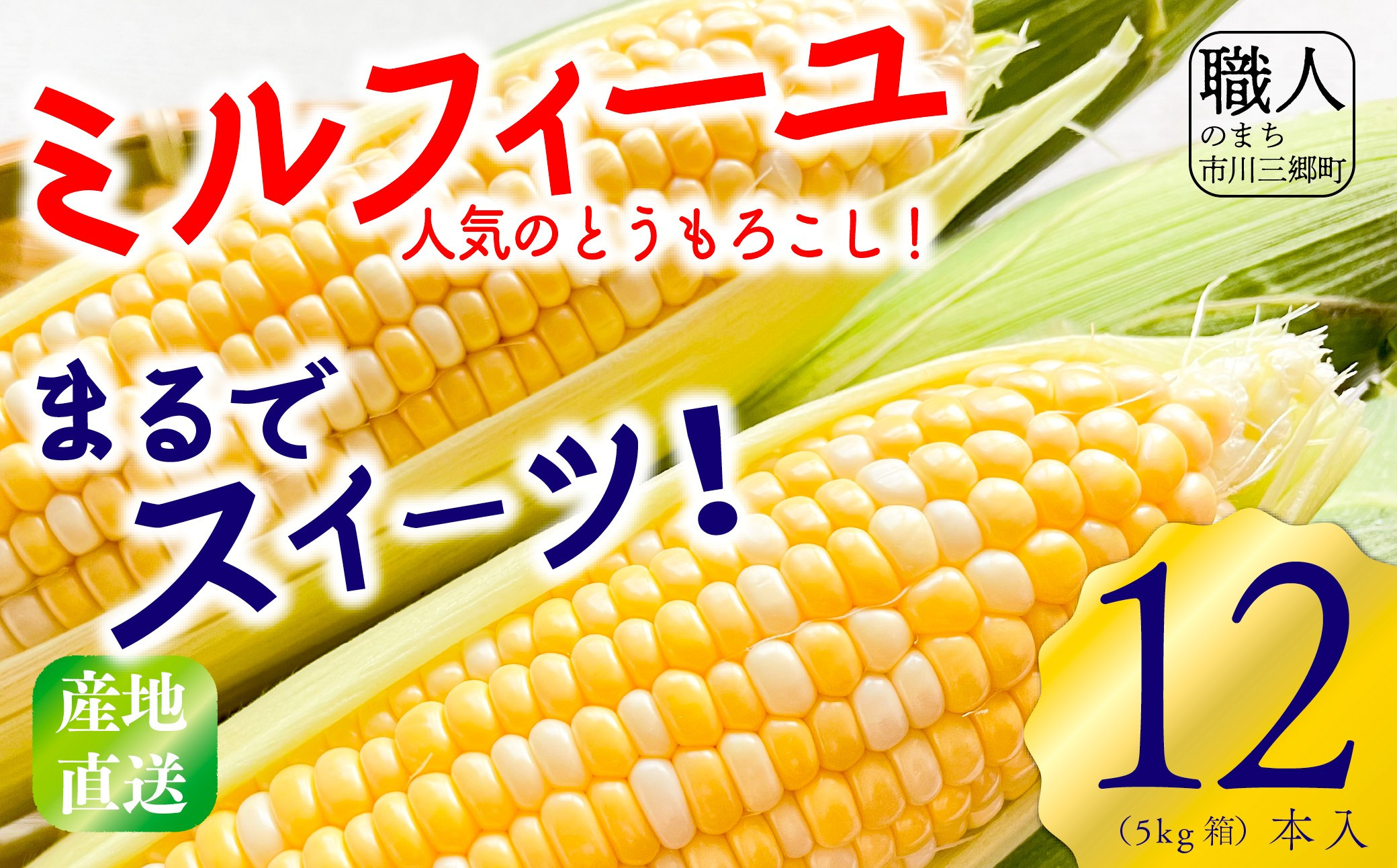 
            ミルフィーユ（とうもろこし）5kg箱　12本入り　2025年6月上旬から発送　丹沢淳農園[5839-2182]
          
