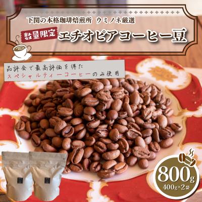 ふるさと納税 下関市 【中深煎り】 訳あり コーヒー豆 800g(400g×2袋) エチオピア EW146-B-x
