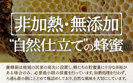 ニホンミツバチのはちみつ 300g×2本 | 蜂蜜 はちみつ ハチミツ 百花蜜