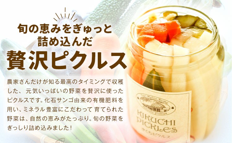 ピクルス 大瓶 3本 セット 野菜 瓶詰め メロンドーム