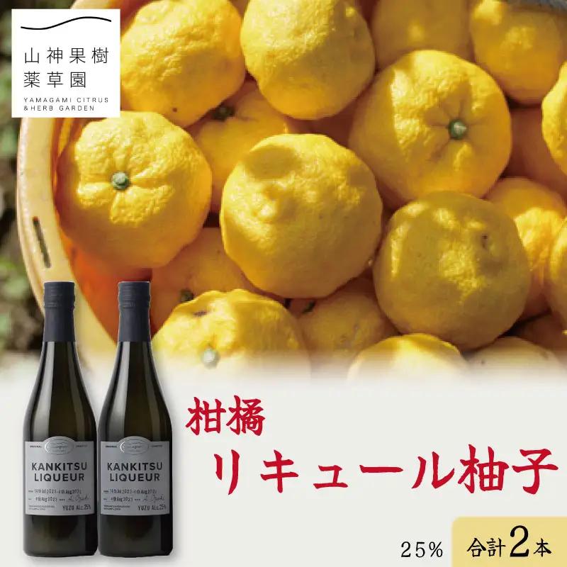 ゆず リキュール 2本 セット 25％ ゆず