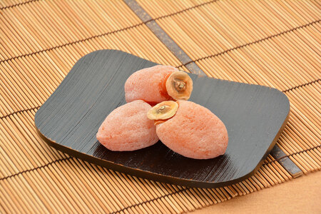冷凍 熟成 市田柿 500g | 柿 干し柿 干しがき 果物 フルーツ 干柿 おやつ お菓子 スイーツ お取り寄せ グルメ ギフト プレゼント 贈り物 手土産 名産品 ドライフルーツ長野県 飯田市 信