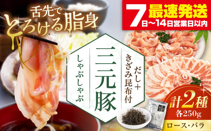 
            平田牧場 しゃぶしゃぶ セット 500g  (ロース・バラ) ※だし・昆布付《喜茂別町》【平田牧場】 しゃぶしゃぶ すき焼き 豚肉 豚ロース 三元豚 ロース バラ 豚バラ セット [AJAP001] 11000 11000円
          