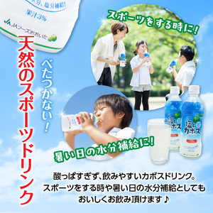 I02059-S 【お中元 ギフト】塩とカボス 495ｍｌ×24本 《7/1～8/8の期間にお届け》