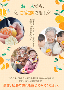 【9月15日までの受付】 訳あり みかん 極早生温州みかん 約4kg＋傷み保証分200g 2S～3Lサイズおまかせ 【2026年9月下旬から10月中旬までに順次発送予定】 / 家庭用 ご家庭用 訳アリ
