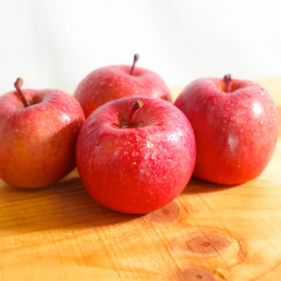 サンふじ贈答用3kg/平均糖度13度以上（11月発送）