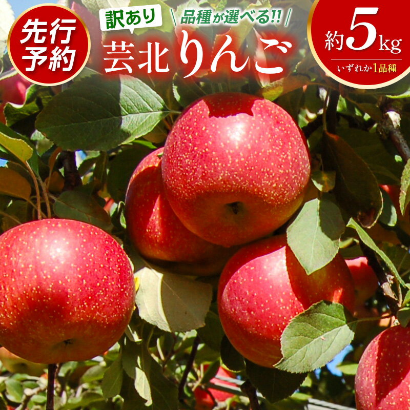 【ふるさと納税】≪9月中旬以降発送≫りんご 訳あり 5kg 品種が選べる 国産 農家直送 芸北りんご 林檎 つがる 秋映 ぐんま名月 シナノゴールド ふじ