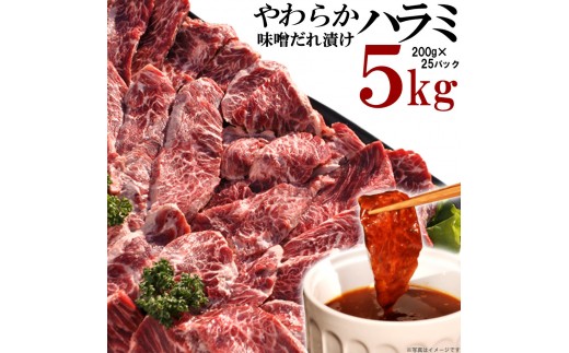 
            やわらかハラミ味噌だれ漬け5kg（200ｇ×25）
          