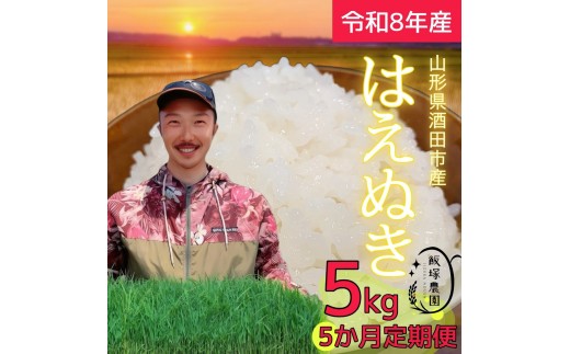 【令和8年産 新米予約】≪5回定期便≫ はえぬき【精米】　5kg×5回(計25kg)　「農家直送」 IN SH0063
