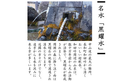 純米吟醸「瀧澤」一升瓶 1800ml 淡麗すっきり希少な日本酒 長野県産酒造好適米・超軟水仕込み 長和町