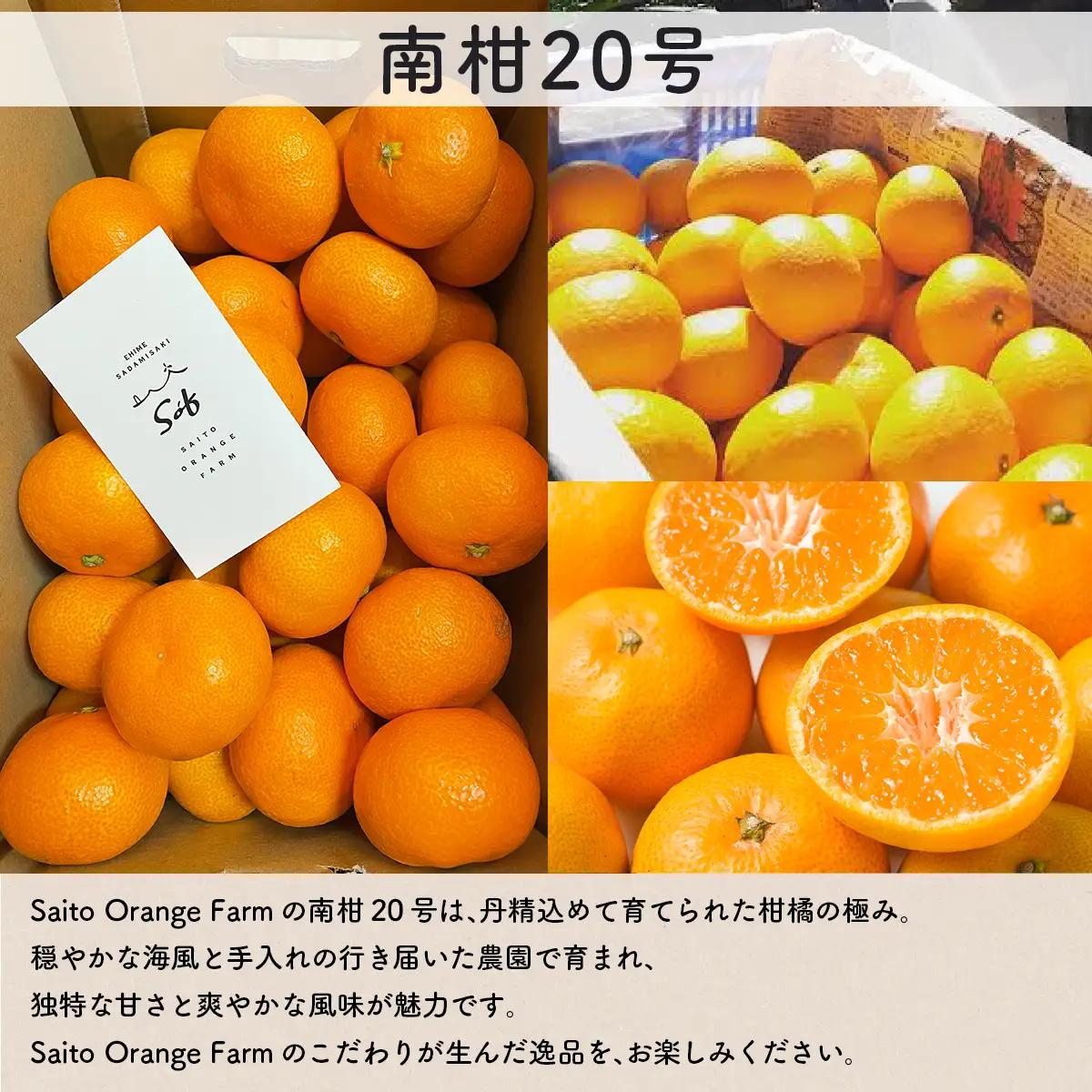 【先行予約】Saito Orange Farmの南柑20号5kg（2026年12月下旬頃より順次発送予定） IKTAQ018