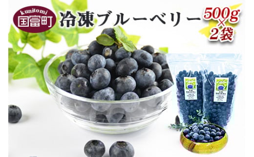 
                  八重尾工房が贈る　農園直送！＜冷凍ブルーベリー(500g×2袋)＞翌月末迄に順次出荷
                