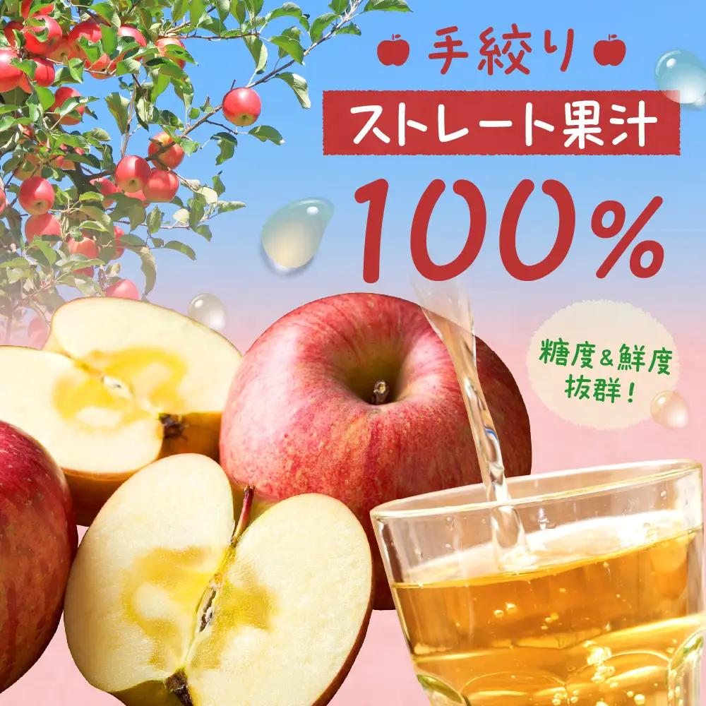 ジュース 手絞り りんごジュース 1L 3本 セット ジュース