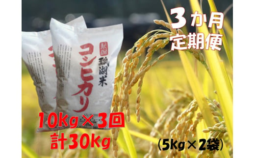 【令和6年産新米】【3ヶ月定期便】新潟産 コシヒカリ「瓢湖米」 10kg×3回 1N11062