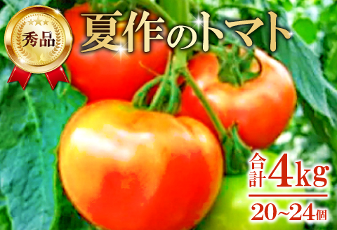 A-166 朝採り「真赤な益田SUNトマト」秀品20～24玉入【初夏】