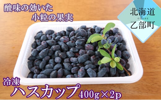 ＜山科農園 冷凍ハスカップ（400ｇ×2）＞北海道 ハスカップ 摘み立て 手摘み