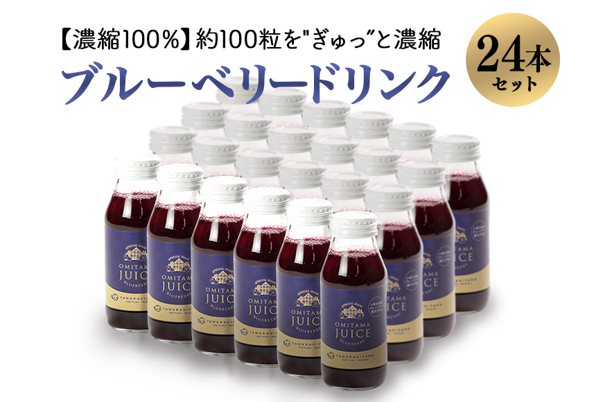 果汁35％ブルーベリー飲料24本 9-O