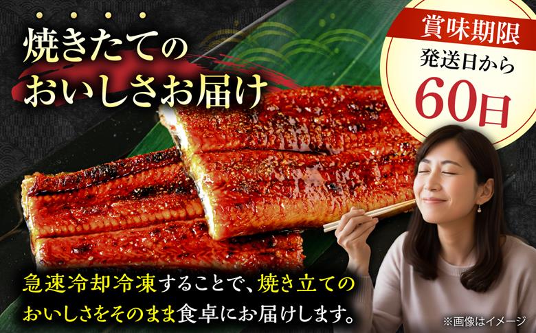 【全6回定期便】福岡県産 うなぎ 蒲焼 大5尾　合計 800 g（1尾あたり 160g以上）《豊前市》【福岡養鰻】 国産 うなぎ 大 [VAD018]