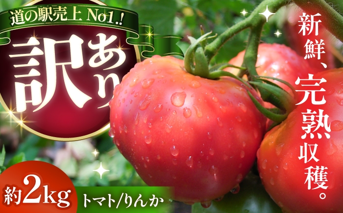 
                  【 訳あり 】 トマト りんか 約2キロ  / トマト とまと tomato 野菜 果物 やさい フルーツ 先行予約 産地直送 農家直送 鮮度 新鮮 栄養 お弁当 トマト とまと ギフト プレゼント トマトジュース 野菜 やさい サラダ とまと トマト 恵那市  / 馥郁農園 [AUCK013]
                