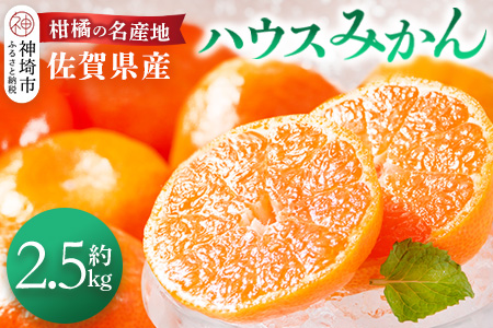 【先行受付 令和7年6月より発送】佐賀県産『ハウスみかん』約2500g【果物 フルーツ みかん 柑橘 ビタミン デザート ふるさと納税】(H108115)