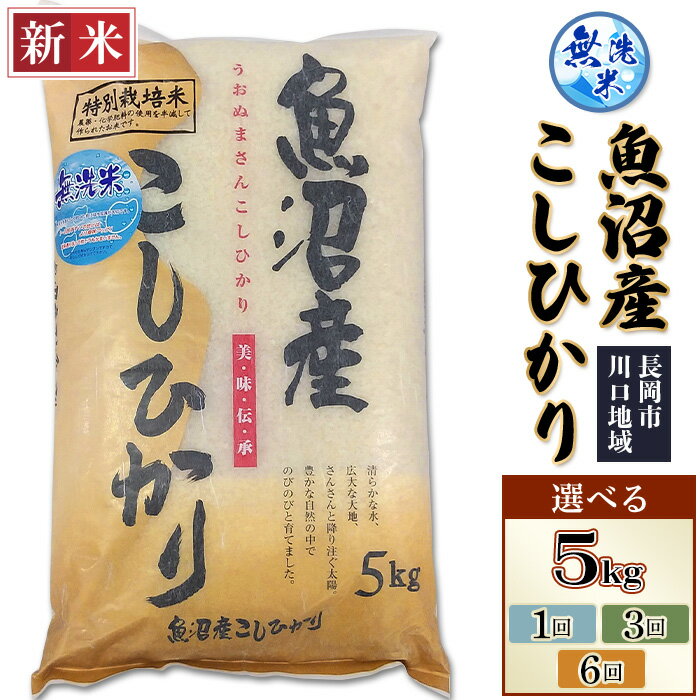 【ふるさと納税】新米予約令和7年 米 無洗米 魚沼 新潟 コシヒカリ 選べる 5kg 定期便 1回 3回 6回 3ヶ月 6ヶ月 新潟こしひかり 白米 お米 新潟県魚沼産特別栽培米コシヒカリ無洗米（越後農産）