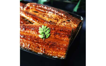 鰻 きざみうなぎ(80g×6P)+蒲焼き1尾 カット済み