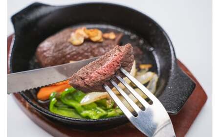 【 ジビエ 】鹿肉 ロース 250g｜サステナブル SDGs 新鮮 低カロリー ヘルシー 熟成 ステーキ 焼肉 シカ 小分け ジビエ食材 YZ-4