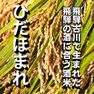 飛騨のお酒 2蔵 1升×6種 〆のラーメンセット 日本酒 おつまみ 地酒 蓬莱 白真弓[Q1555xpi3]