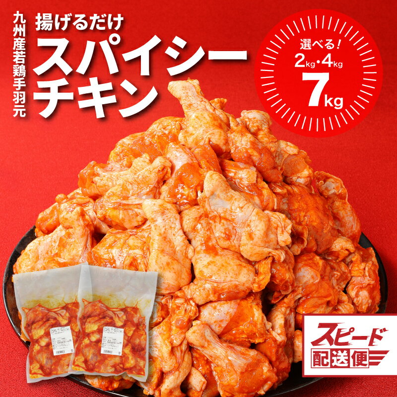 訳あり！九州産若鶏手羽元 揚げるだけスパイシーチキン8kg【宮崎県木城町】