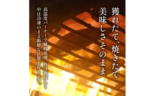 訳あり かつおのたたき 3kg 15,000円 サイズ 不揃い 小分け 真空 パック 新鮮 鮮魚 天然 水揚げ カツオ 鰹 タタキ 冷凍 大容量 マルコ水産 静岡県