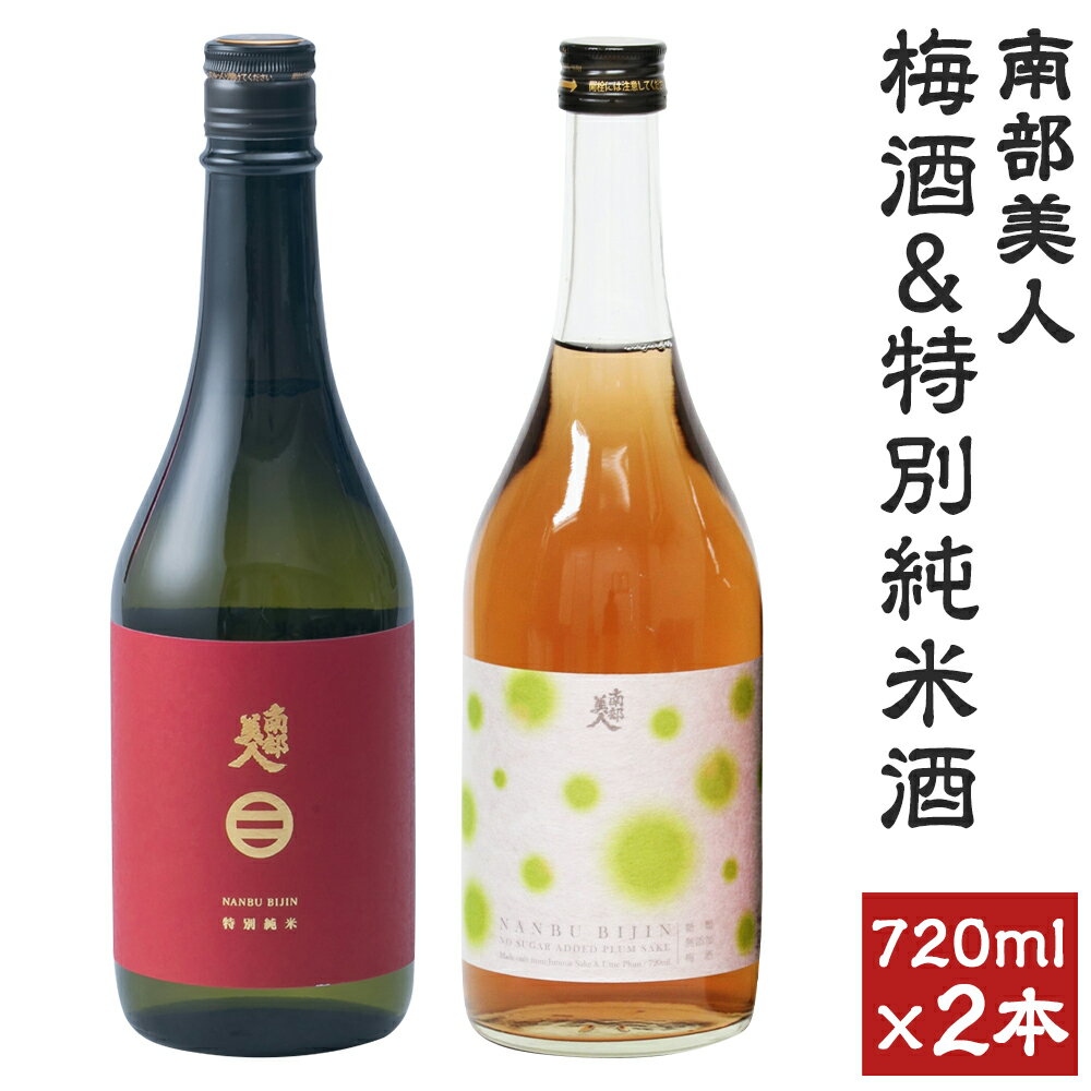 【ふるさと納税】南部美人 梅酒＆特別純米酒セット 720ml×各1本 合計2本 ギフト箱入り 飲み比べ 詰め合わせ お酒 日本酒 リキュール 送料無料
