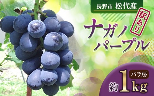 
                  高野農園　ぶどう  訳あり 長野市松代産 ナガノパープル 約1kg バラ房 果物 ブドウ 葡萄 フルーツ デザート おやつ 種なし TAKANO農園 信州 |  ナガノパープル 訳あり 人気 おすすめ 産地直送  送料無料  長野県 長野市 信州 信濃 ふるさと納税
                