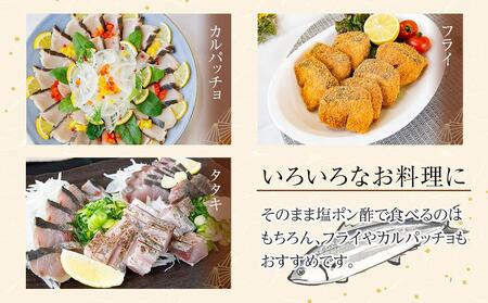 さわら 鰆 塩 たたき 炙り 約500g さわら 刺身 さわら 冷凍 さわら 鮮魚 さわら 旬 さわら 香川県 さわら さぬき市 さわら