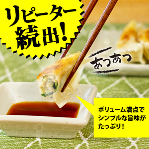 訳あり 餃子 にんにく 105個 （15個入り×7パック）餃子