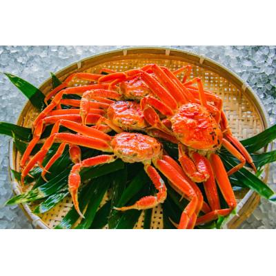 ふるさと納税 北栄町 鳥取県産ボイル松葉ガニおまかせ　3kg |  | 02