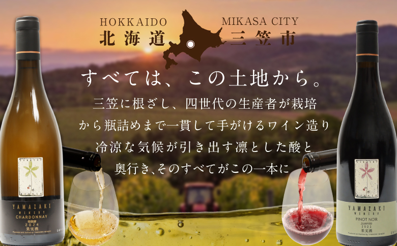 【三國シェフ推奨】山崎ワイン 赤＆白 飲み比べセット 750ml×2本 (各1本) | 山崎ワイン YAMAZAKI WINERY ワイン 赤ワイン 白ワイン 飲み比べ 飲み比べセット ワインセット 