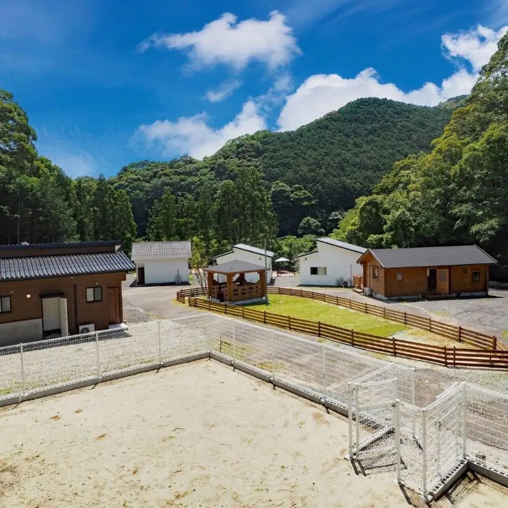 【愛犬と宿泊】 グランピング DOG PALACE camp village 宿泊利用券10,000円分 /  旅行 宿泊 リラックス  和歌山 田辺市 熊野古道【dpc003】