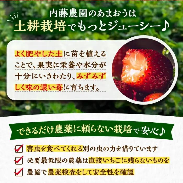 【先行予約】【全3回定期便】あまおう いちご 270g以上×4P VAB021 あまおう