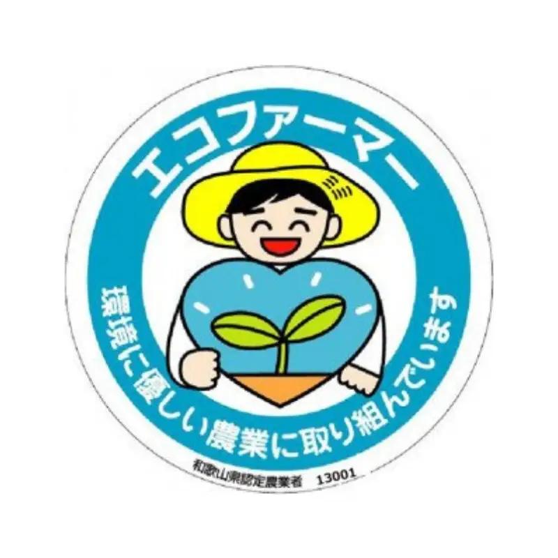 採れたてタネなし柿“Lサイズ”7.5kg＜2026年10月中旬～10月下旬頃発送予定＞【art001A】
