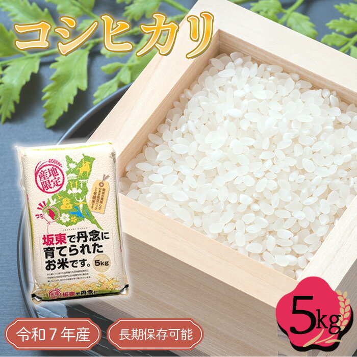 【ふるさと納税】No.763 ※12月以降配送※「令和7年産米」コシヒカリ　5kg【長期保存可能！】 ／ 令和7年 新米 米 お米 精米 白米 ご飯 国産米 5kg 5キロ こしひかり 甘み 粘り 真空 真空パック 長期保存 備蓄 買い置き 年中新米 おいしい お取り寄せ 産地直送 産直