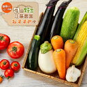 【ふるさと納税】江藤農園おすすめ 湯布院の旬の野菜（12～15種類！）詰め合わせ | 新鮮野菜 自慢の野菜 12種以上 旬野菜 セット 詰め合わせ 九州 大分県 湯布院 由布院 送料無料