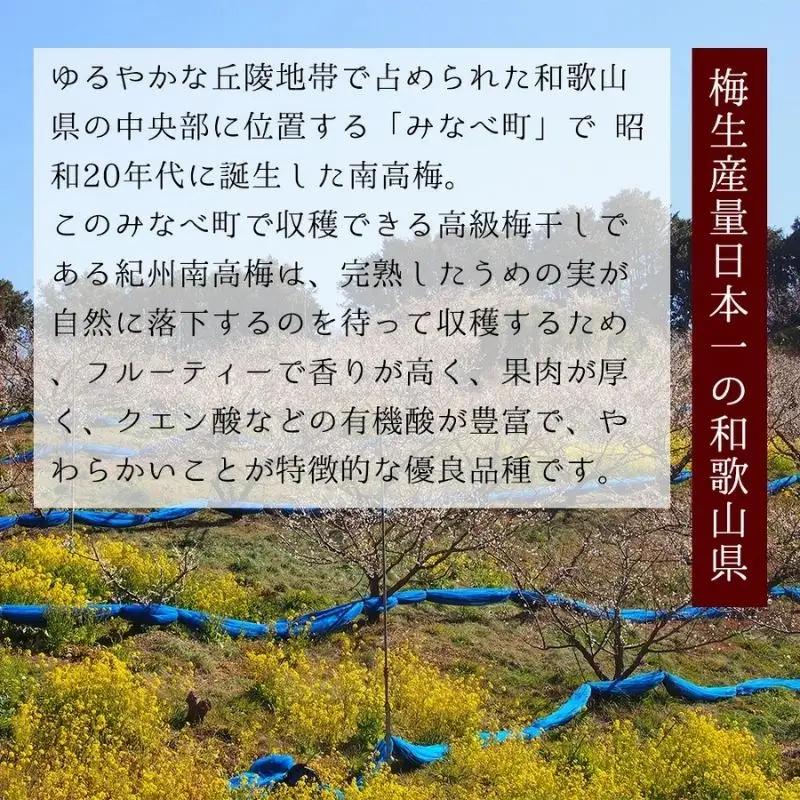 紀州五代の夢想　16粒　azmn010B【azmn010B】